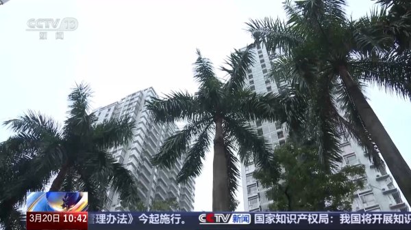 优先配 提额度、降利率、扩范围，多地出台住房公积金优化调整政策