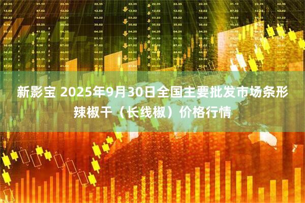 新影宝 2025年9月30日全国主要批发市场条形辣椒干（长线椒）价格行情