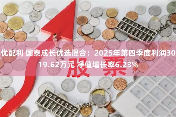 优配利 国泰成长优选混合：2025年第四季度利润3019.62万元 净值增长率6.23%